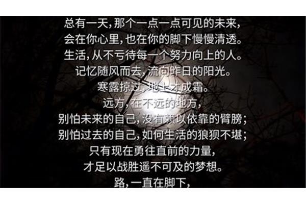 有关星星的诗句