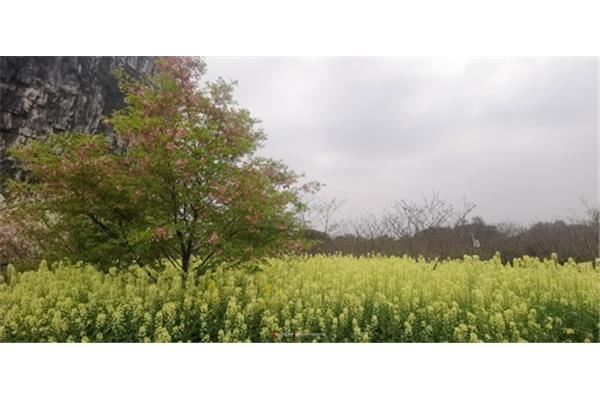桂林南溪山公园