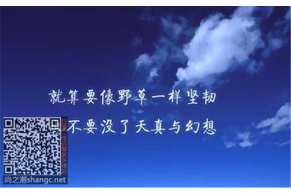 鼓励学习的名言