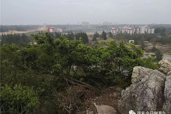 虎头山景区