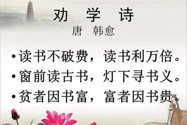 美丽的诗句