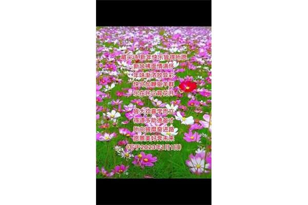 祝福藏头诗