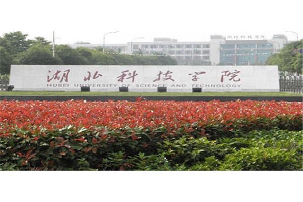 湖北咸宁学院