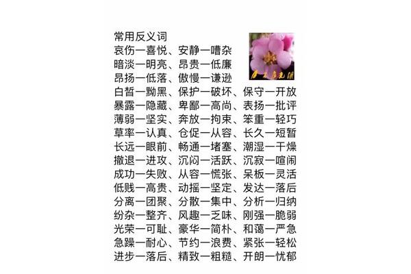 白皙的近义词