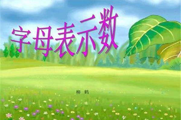 用字母表示数课件