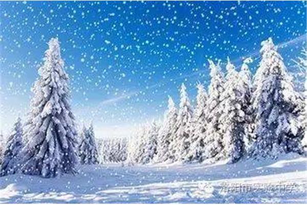 咏雪的诗句