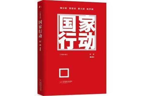 国家行动小说