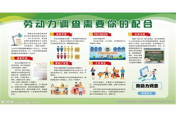 劳动力调查