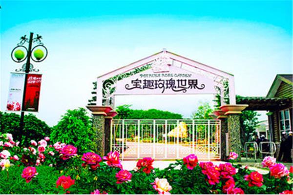宝趣玫瑰世界