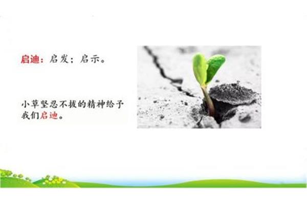 小草的精神