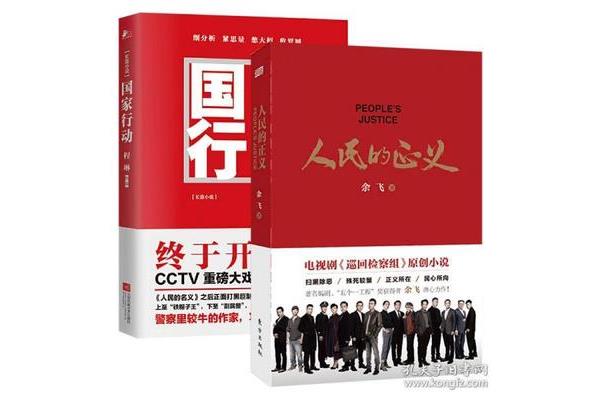 国家行动小说