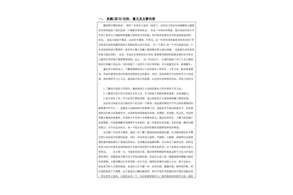 专业实践总结报告