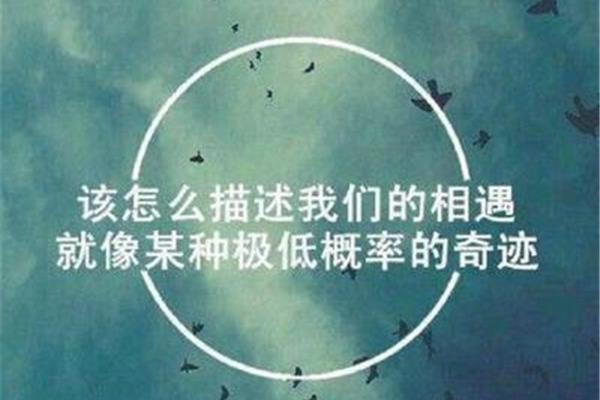 就这样被你感动