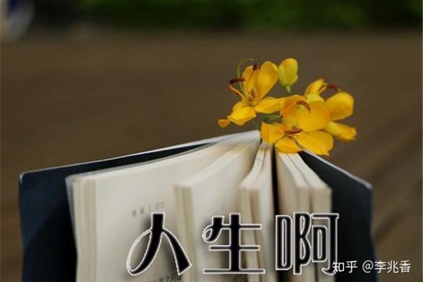 人生寄语生活感悟