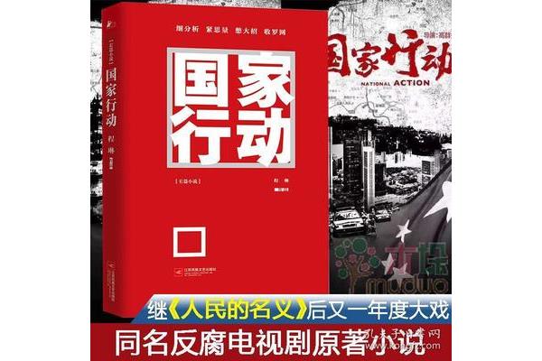 国家行动小说