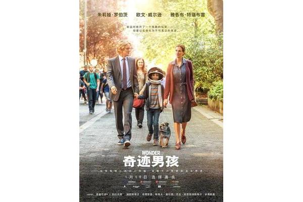 奇迹男孩简介