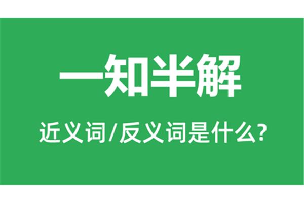 一知半解的反义词