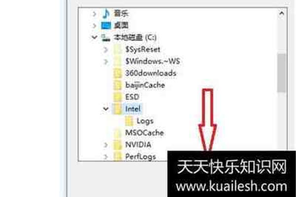 msocache