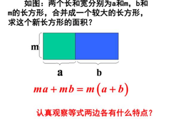 长方形的长和宽