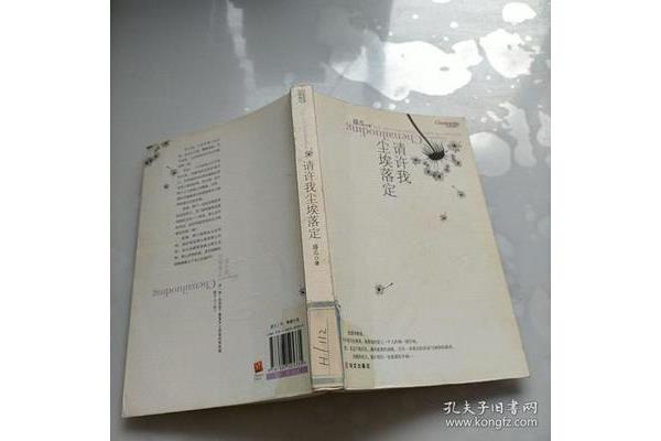 许我尘埃落定