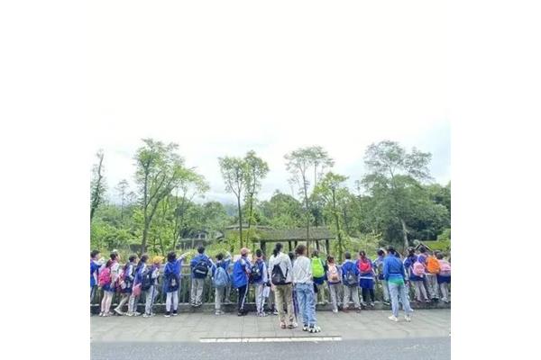 研学感受怎么写