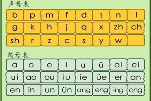 声母t的笔顺