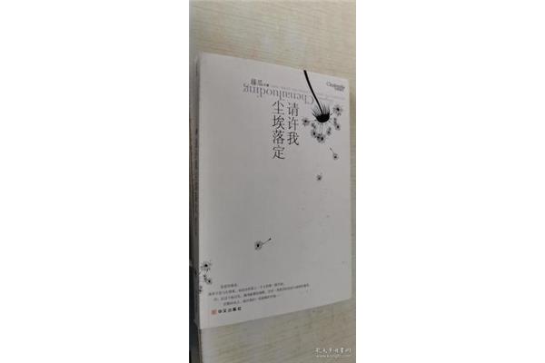 许我尘埃落定