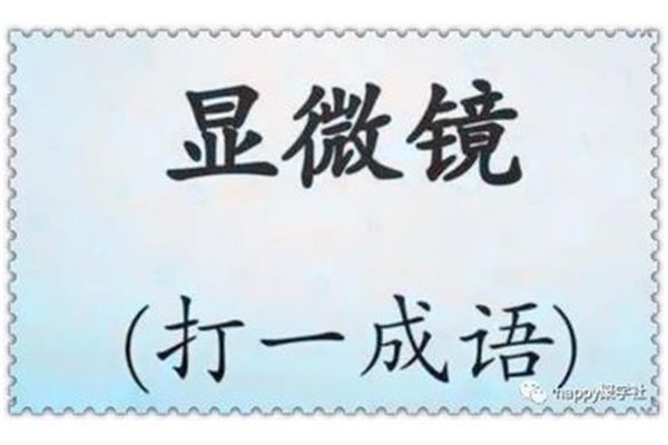 显微镜打一成语