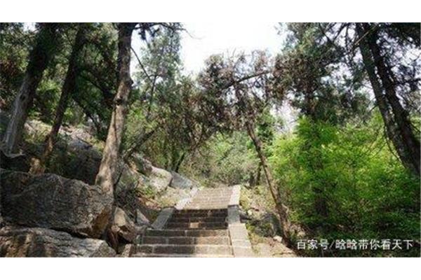 小泰山在哪