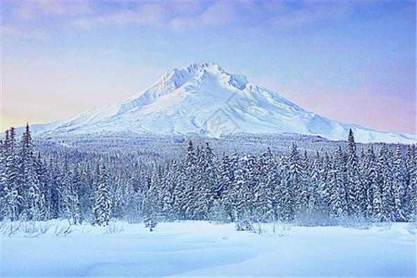 冬天的雪景
