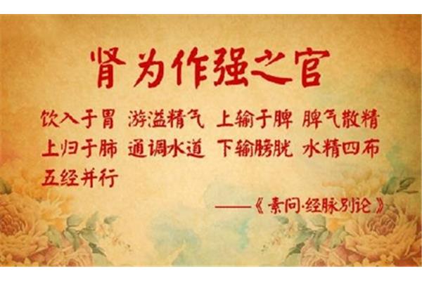 肾气不固的症状