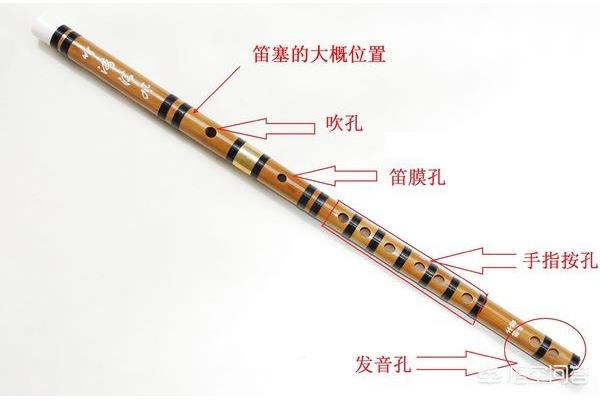 笛子怎么吹