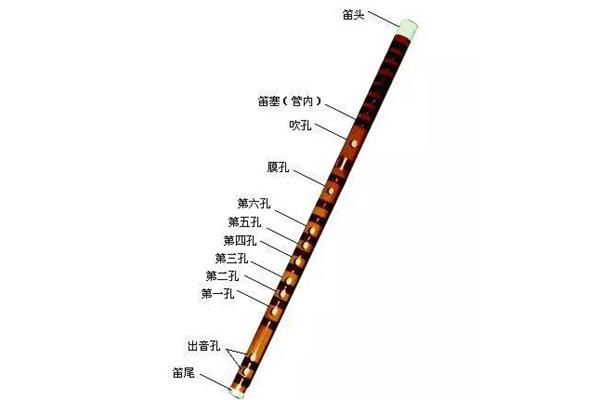 笛子怎么吹