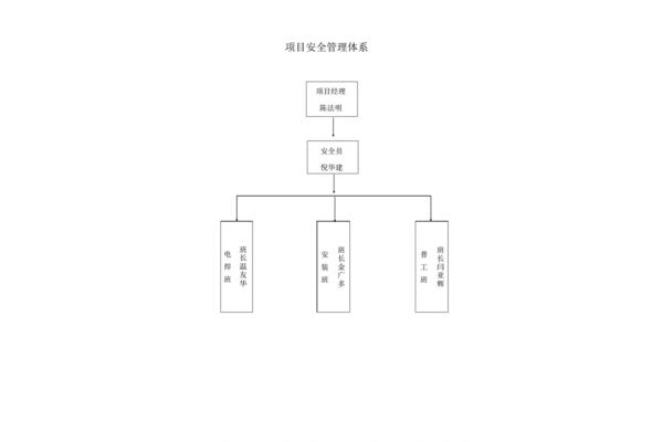 项目组织管理
