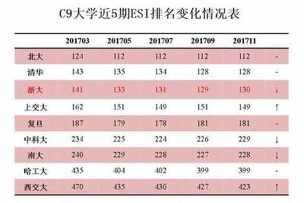 c9什么意思