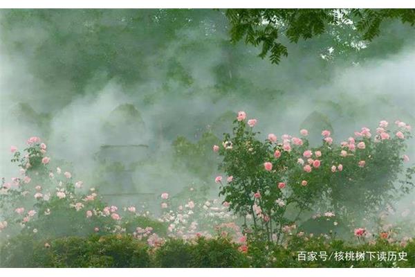 矮纸斜行闲作草