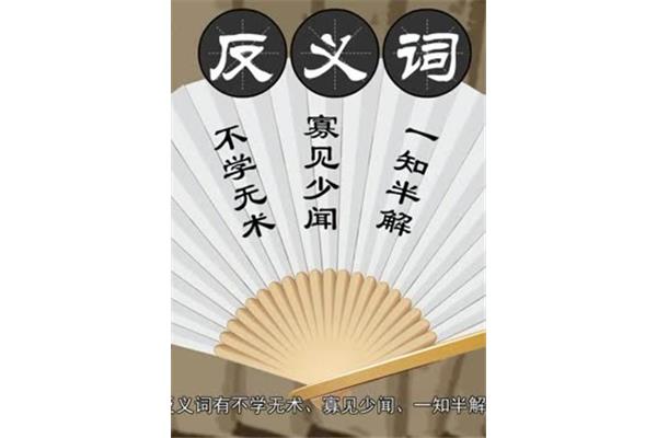 一知半解的反义词