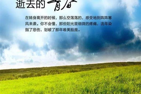 那些逝去的青春