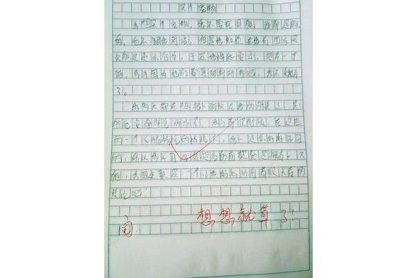 我的宠物作文