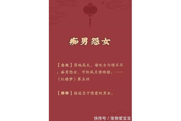 出自红楼梦的成语
