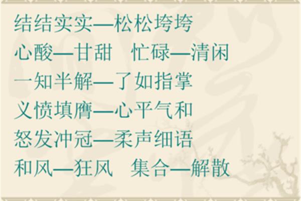 一知半解的反义词