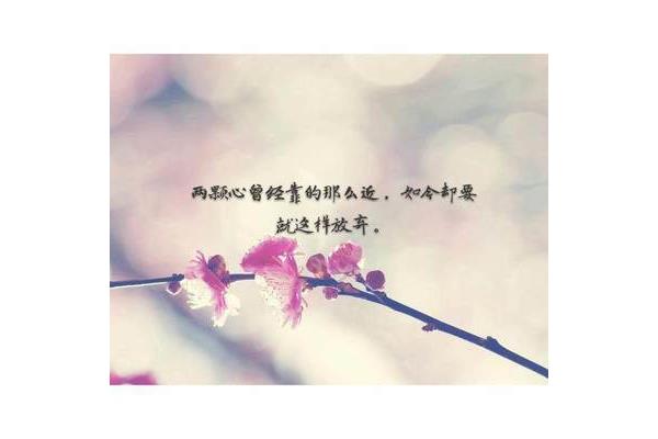 人生就这样