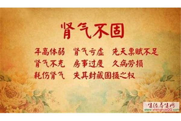 肾气不固的症状