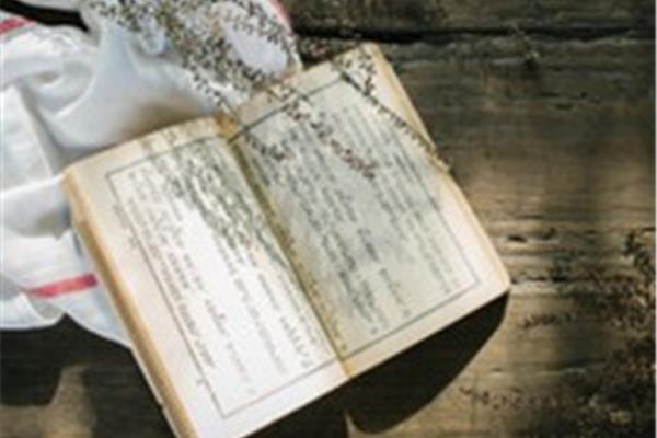 带梅字的诗句