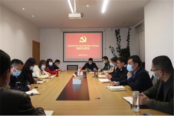 组织委员工作总结