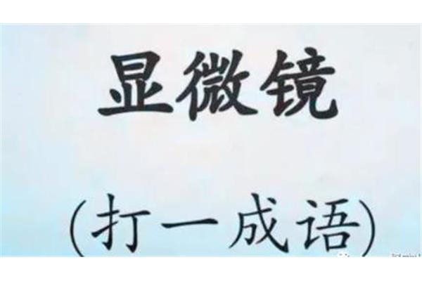 显微镜打一成语