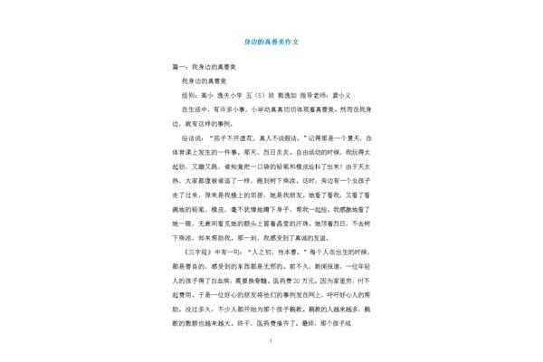 真善美作文