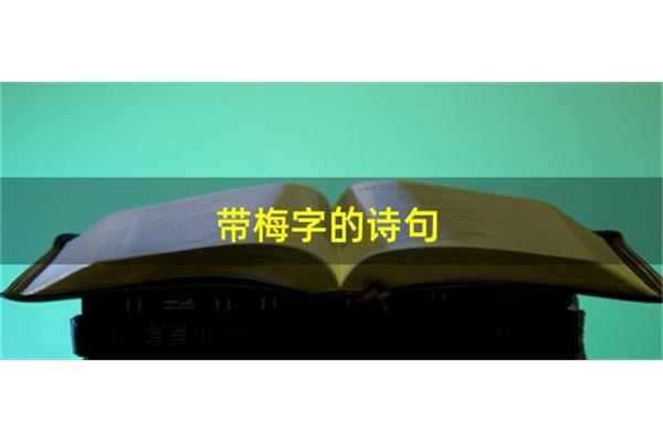 带梅字的诗句