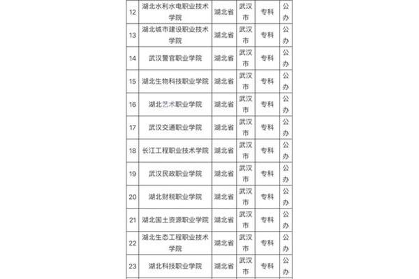 武汉专科学校排名