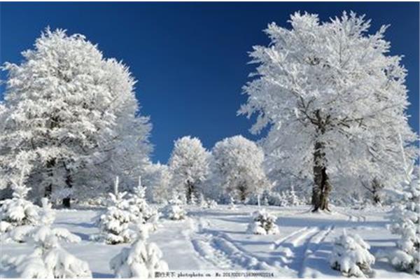 冬天的雪景